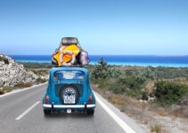 Best Summer Vacation Car Accessories