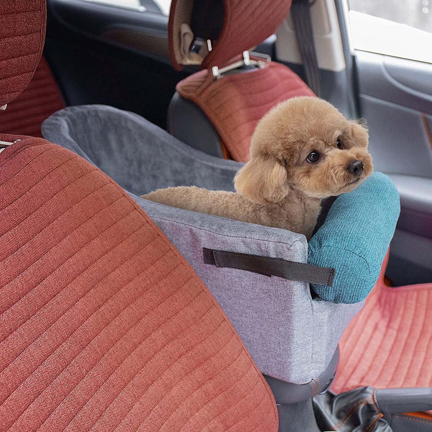 travel seats for small dogs