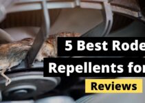 The Best Rodent Repellent for Cars